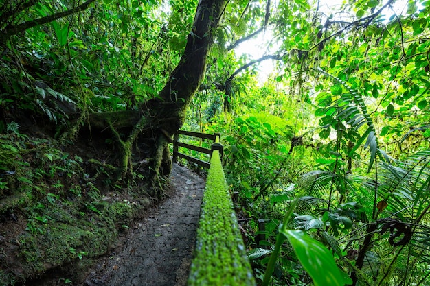 成縣雞峰山攻略