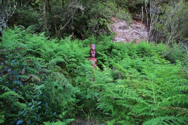 成縣雞峰山攻略