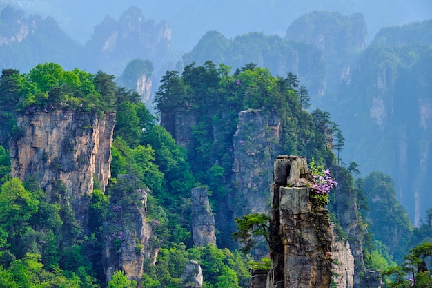 張家界旅游攻略幾月份去合適