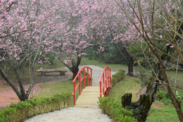 桃花源一日游攻略