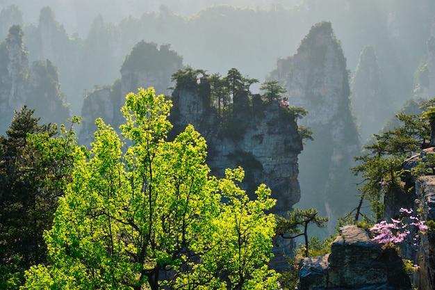 鄭州至張家界旅游攻略