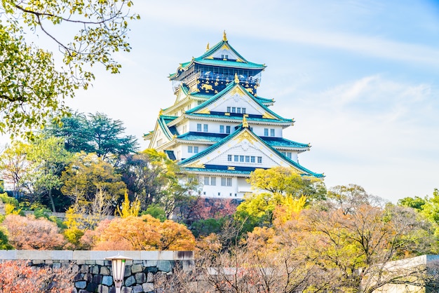 南京本地人旅游攻略