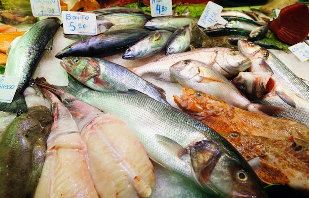 澳洲魚(yú)市場(chǎng)攻略