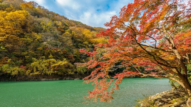 江門(mén)圭峰山楓葉攻略