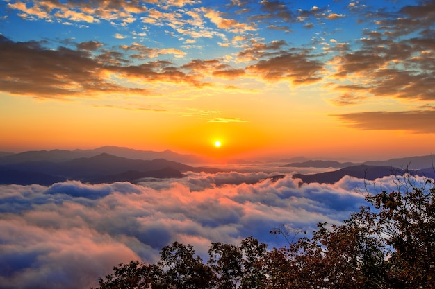 11月九華山旅游攻略