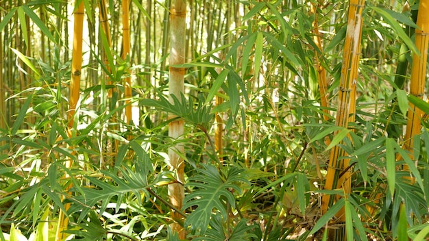 南宮植物園 攻略