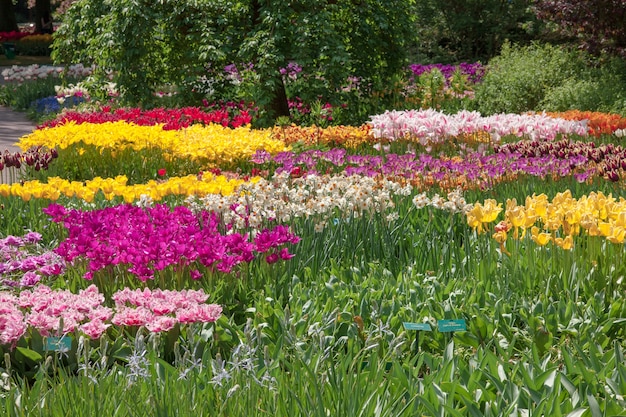 南宮植物園 攻略