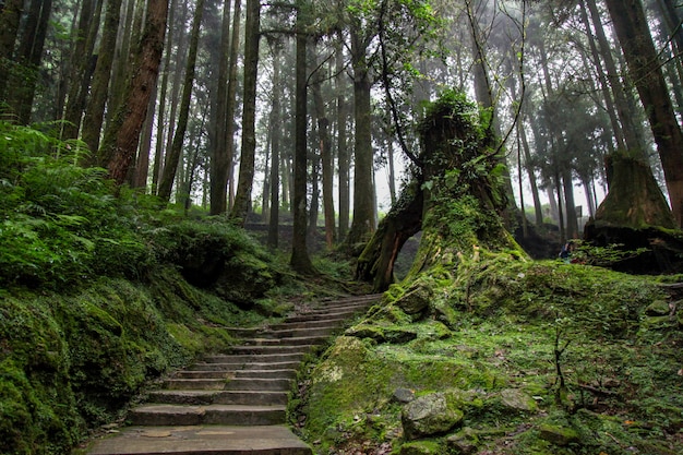 長(zhǎng)沙婺源旅游攻略