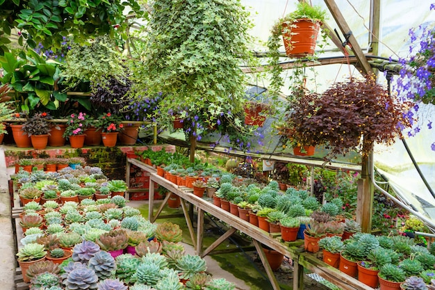 南宮植物園 攻略