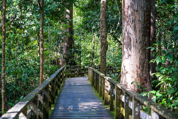 大興呀路古熱帶植物園旅游攻略