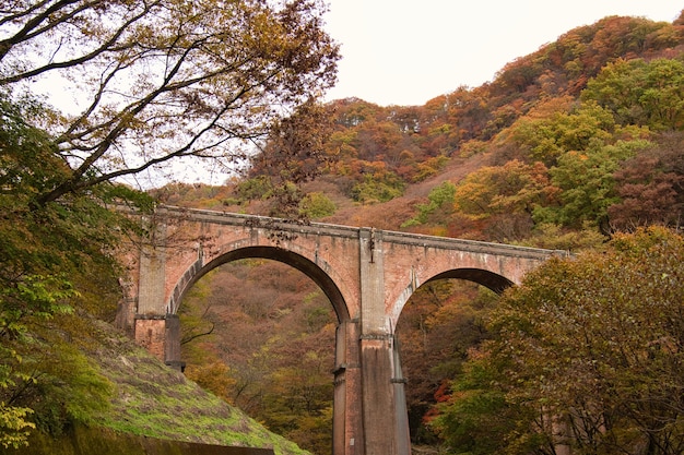 武漢蛇山攻略