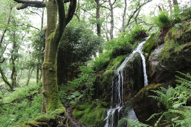 去天水麥積山旅游攻略