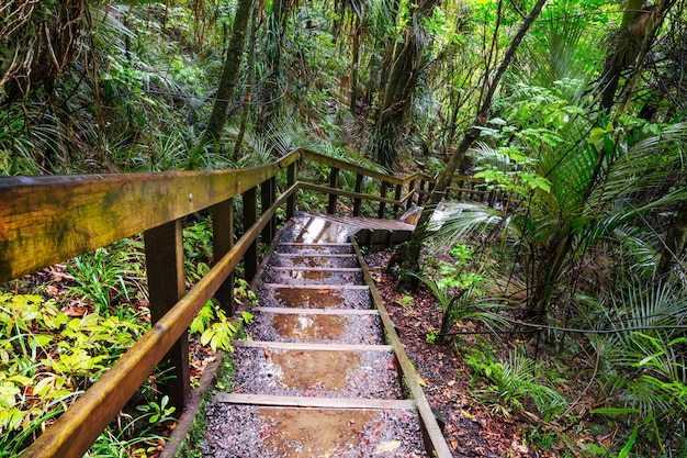 青城山旅游攻略前后山