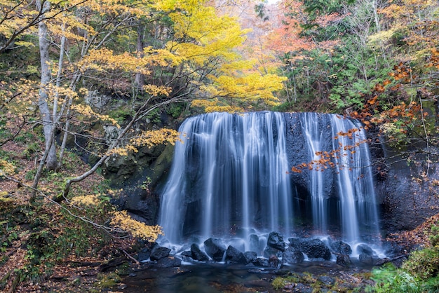 青城山旅游攻略前后山