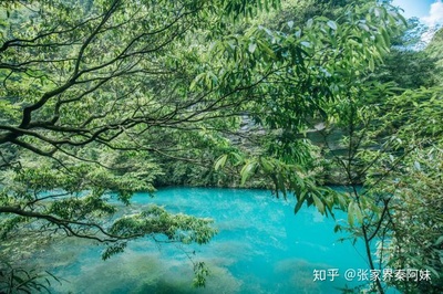 張家界 九寨溝自駕游攻略