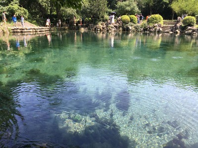 珍珠泉野生動(dòng)物園攻略