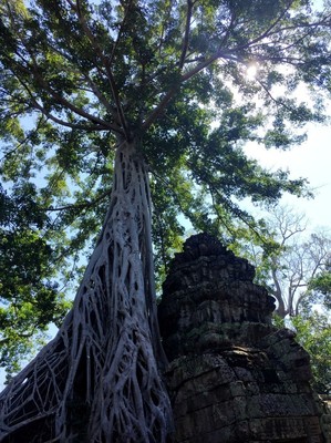泰國暹粒旅游攻略