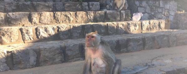 泰國暹粒旅游攻略