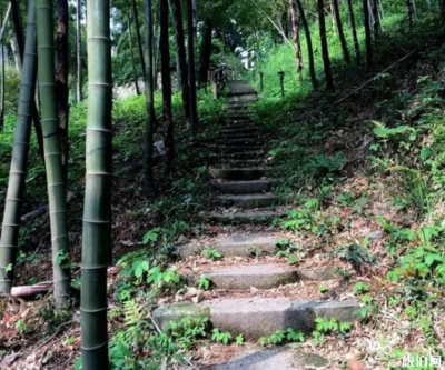 庾村到莫干山徒步攻略 湖州莫干山旅游路線推薦-攻略