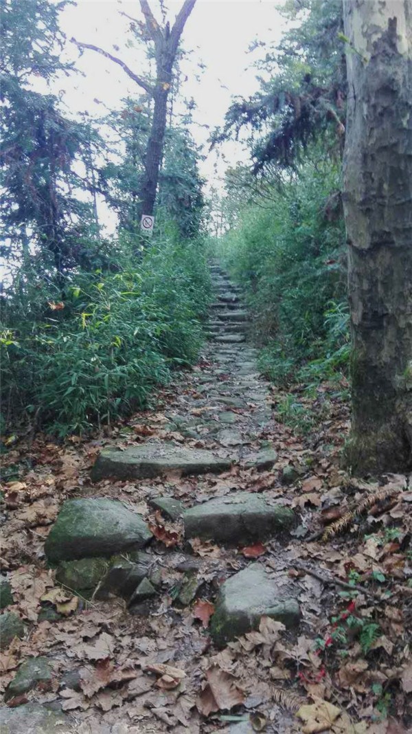 莫干山徒步攻略