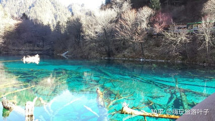 四川九寨溝旅游攻略 黃龍九寨溝旅游攻略
