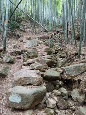 莫干山徒步攻略