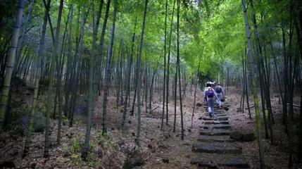 莫干山徒步攻略