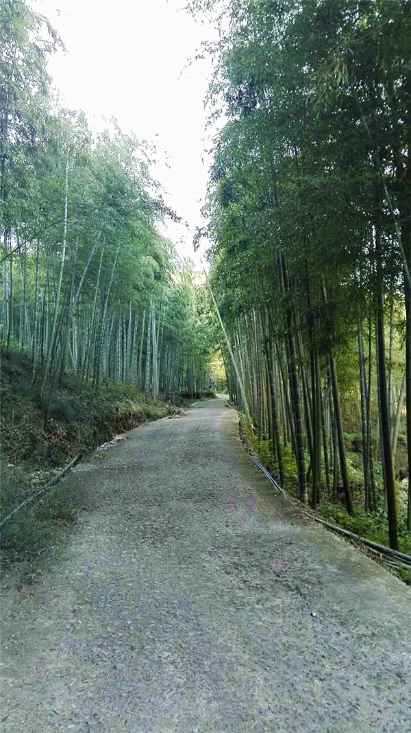 莫干山徒步攻略