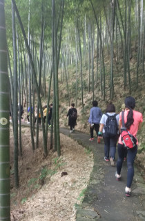 莫干山徒步攻略