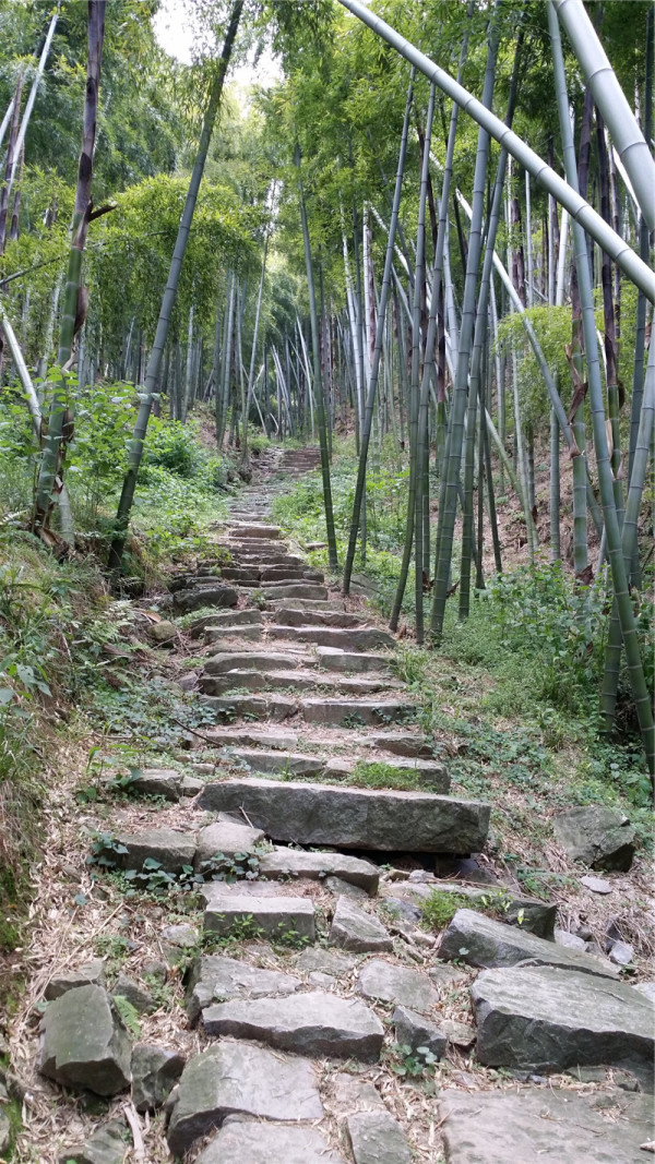 莫干山徒步攻略