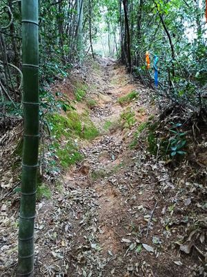 莫干山徒步攻略
