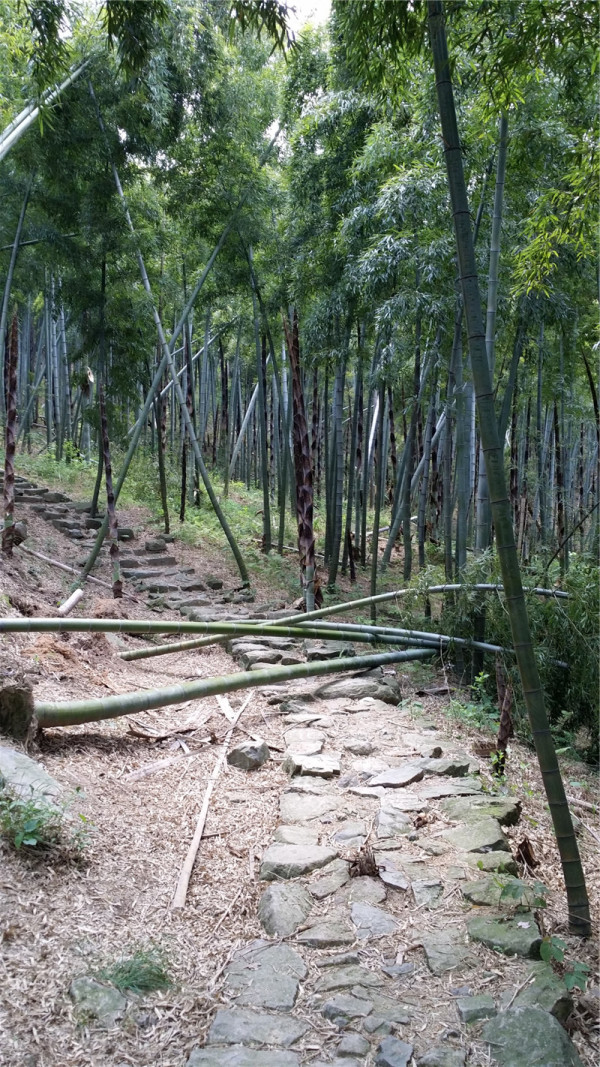 莫干山徒步攻略