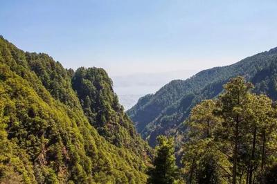 野爬蒼山攻略