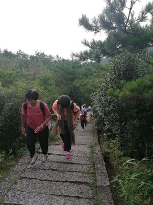 野爬蒼山攻略