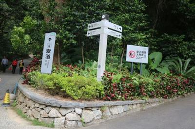 南海西樵山景點(diǎn)攻略