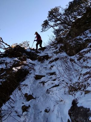 野爬蒼山攻略