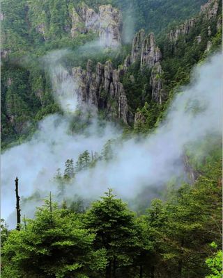 湖北神農(nóng)架旅游冬季攻略