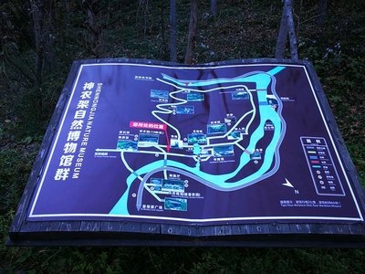 神農(nóng)架1日半游玩攻略