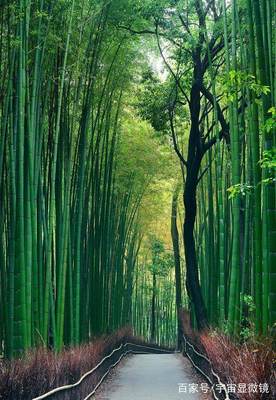 上海地區(qū)周邊一日游