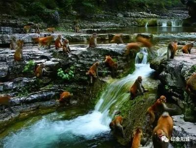 蜂蜂旅游攻略 黑龍江密山旅游攻略