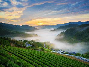 蜂密山旅游攻略