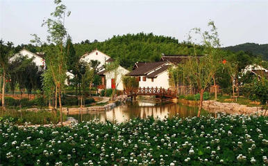 蜂密山旅游攻略
