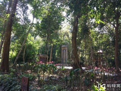 貴陽到西雙版納旅游攻略