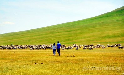 去海拉爾旅游攻略6