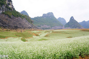 南寧旅游攻略3日游