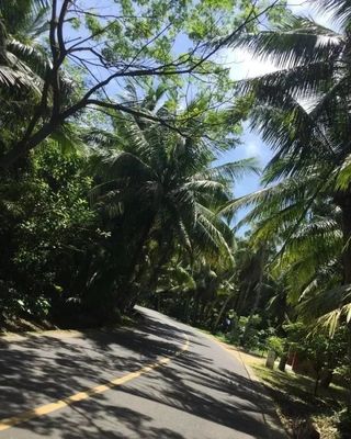 肇慶到海南自駕游攻略