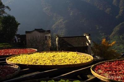 婺源篁嶺自駕游旅游攻略