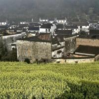 婺源篁嶺自駕游旅游攻略
