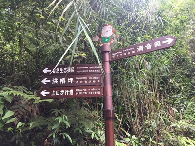 峨眉山自主游攻略