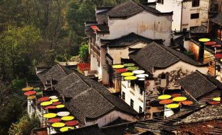 自駕游婺源篁嶺景區(qū)旅游攻略 江西婺源篁嶺旅游攻略
